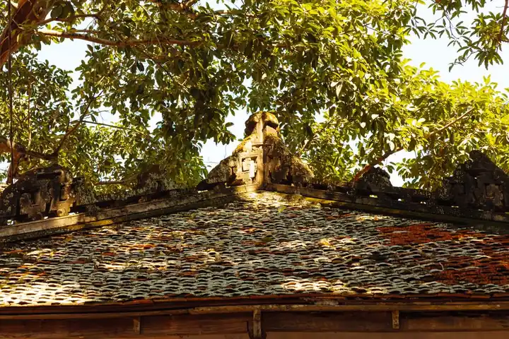 A traditional roof adorned with vivid green foliage, showcasing intricate architectural details under natural sunlight.